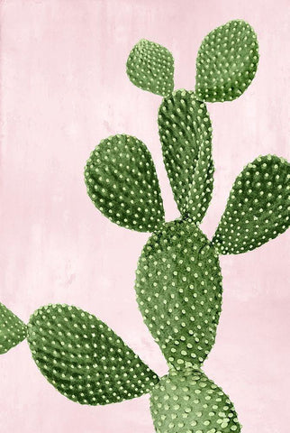 Cactus on Pink VI White Modern Wood Framed Art Print with Double Matting by Jensen, Mia