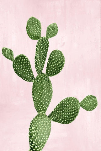 Cactus on Pink VII Black Ornate Wood Framed Art Print with Double Matting by Jensen, Mia