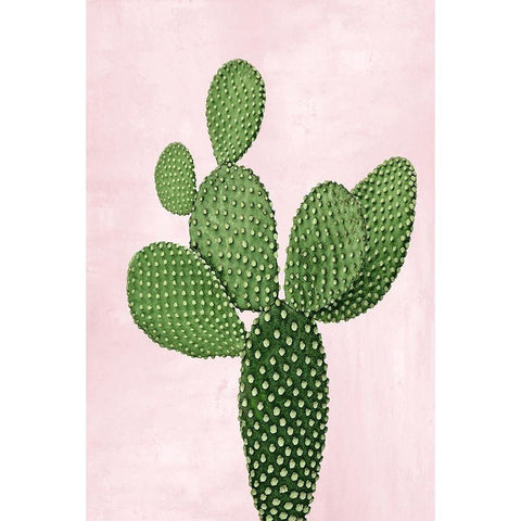 Cactus on Pink VIII White Modern Wood Framed Art Print by Jensen, Mia