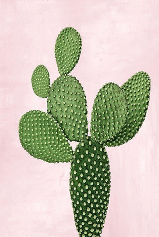 Cactus on Pink VIII Black Ornate Wood Framed Art Print with Double Matting by Jensen, Mia