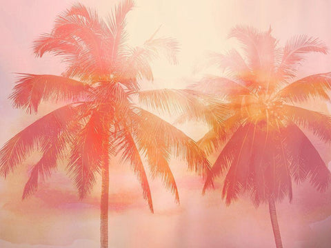 Palm Breeze II Black Ornate Wood Framed Art Print with Double Matting by Jensen, Mia