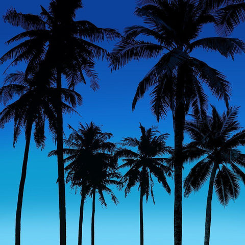 Palms Black on Blue I White Modern Wood Framed Art Print by Jensen, Mia