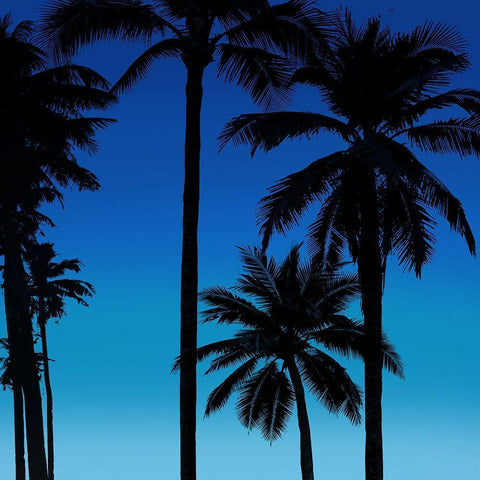 Palms Black on Blue II White Modern Wood Framed Art Print with Double Matting by Jensen, Mia