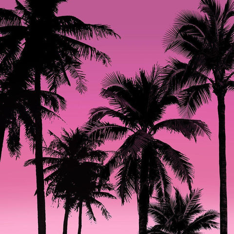 Palms Black on Pink II Black Modern Wood Framed Art Print by Jensen, Mia
