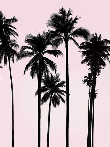 Tall Palms Black on Pink I White Modern Wood Framed Art Print with Double Matting by Jensen, Mia