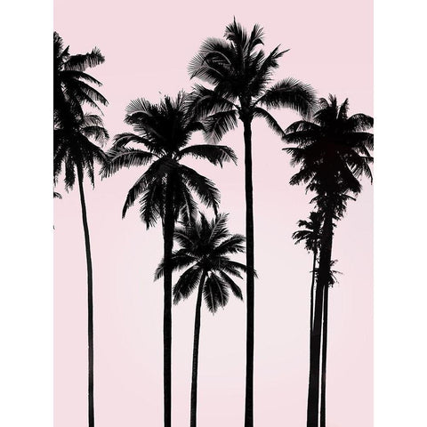 Tall Palms Black on Pink I White Modern Wood Framed Art Print by Jensen, Mia