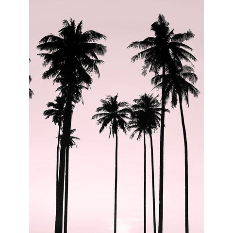 Tall Palms Black on Pink II White Modern Wood Framed Art Print by Jensen, Mia