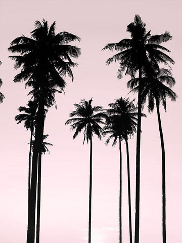 Tall Palms Black on Pink II White Modern Wood Framed Art Print with Double Matting by Jensen, Mia