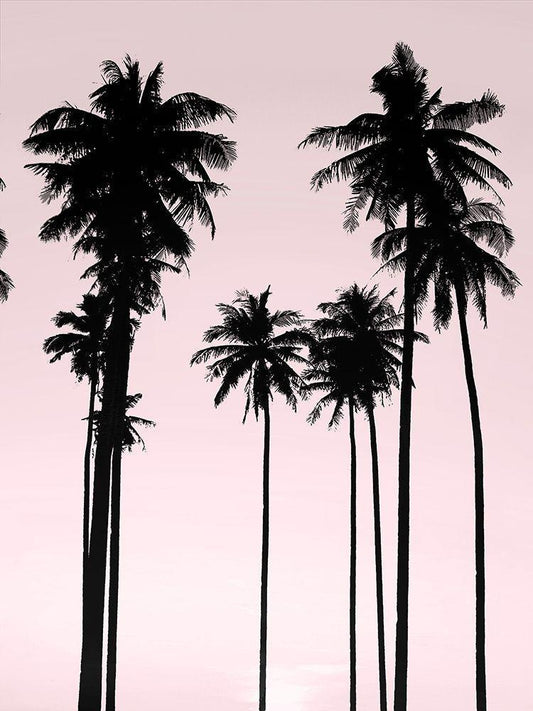 Image Only