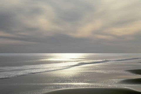 Silver Light Black Ornate Wood Framed Art Print with Double Matting by Olsen, Maggie