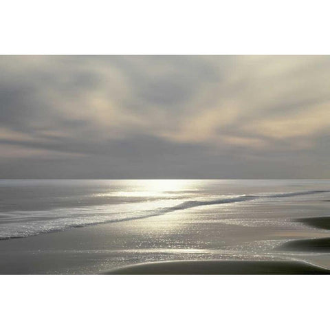 Silver Light Black Modern Wood Framed Art Print by Olsen, Maggie