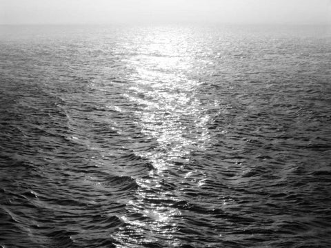 Open Sea III Black Ornate Wood Framed Art Print with Double Matting by Olsen, Maggie