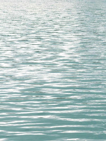 Ocean Current Aqua I Black Ornate Wood Framed Art Print with Double Matting by Olsen, Maggie