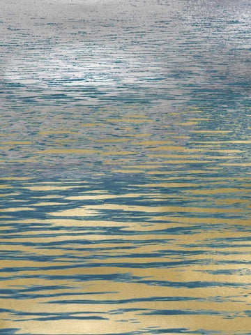 Ocean Current Reflection I Black Ornate Wood Framed Art Print with Double Matting by Olsen, Maggie