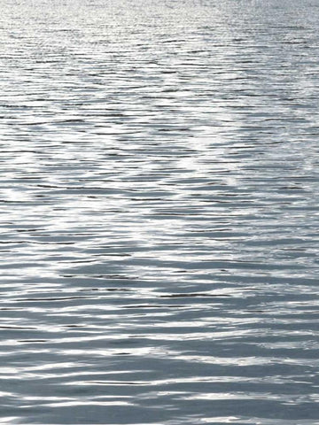 Ocean Current I Black Ornate Wood Framed Art Print with Double Matting by Olsen, Maggie