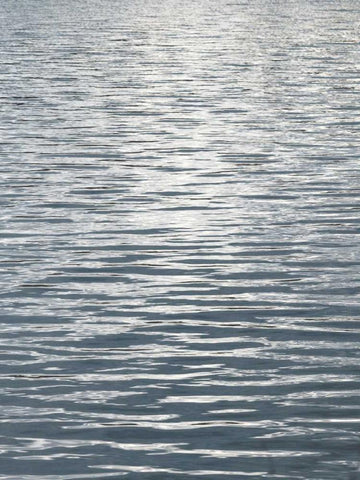 Ocean Current II Black Ornate Wood Framed Art Print with Double Matting by Olsen, Maggie