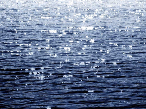 Sunlit Sea Indigo Black Ornate Wood Framed Art Print with Double Matting by Olsen, Maggie