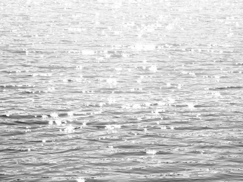 Sunlit Sea Black Ornate Wood Framed Art Print with Double Matting by Olsen, Maggie