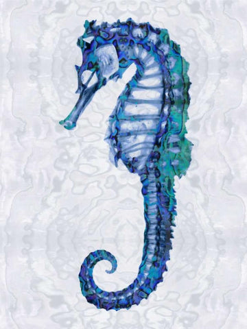 Sea Horse I White Modern Wood Framed Art Print with Double Matting by Miller, Melonie