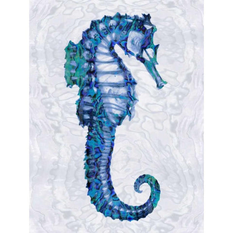 Sea Horse II Black Modern Wood Framed Art Print with Double Matting by Miller, Melonie