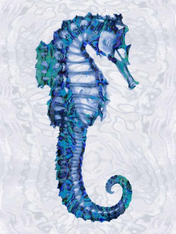 Sea Horse II White Modern Wood Framed Art Print with Double Matting by Miller, Melonie