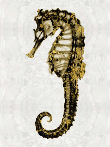 Golden Sea Horse I Black Ornate Wood Framed Art Print with Double Matting by Miller, Melonie