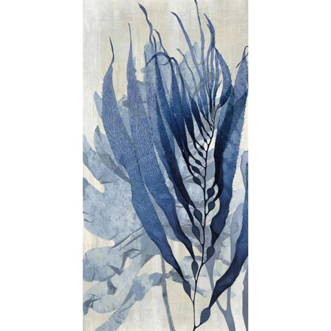 Sea Nature in Blue I Black Modern Wood Framed Art Print with Double Matting by Miller, Melonie