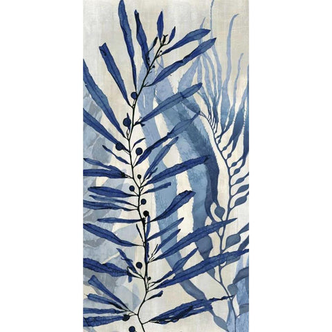 Sea Nature in Blue II White Modern Wood Framed Art Print by Miller, Melonie