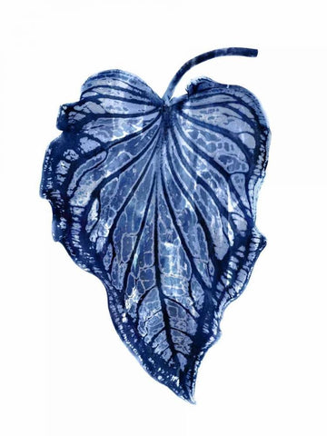 Indigo Palm III White Modern Wood Framed Art Print with Double Matting by Miller, Melonie