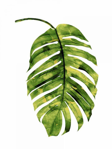 Palm II White Modern Wood Framed Art Print with Double Matting by Miller, Melonie