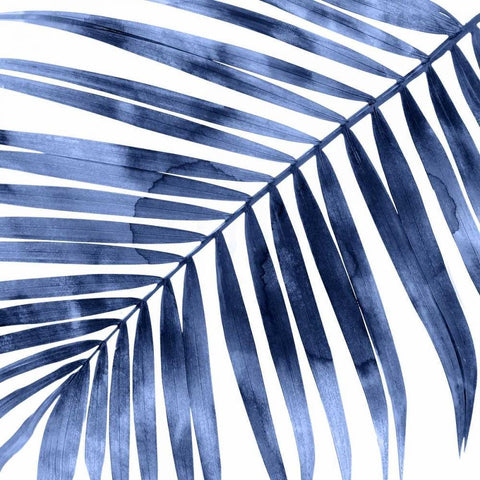 Tropical Indigo Palm I Black Modern Wood Framed Art Print with Double Matting by Miller, Melonie