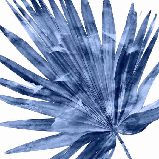 Image Only