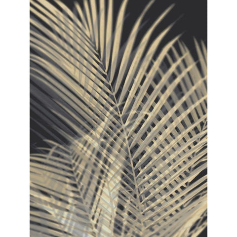 Palm Shadows Cream I Black Modern Wood Framed Art Print with Double Matting by Miller, Melonie