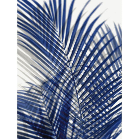 Palm Shadows Blue I Black Modern Wood Framed Art Print with Double Matting by Miller, Melonie