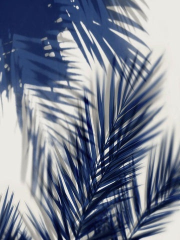 Palm Shadows Blue II White Modern Wood Framed Art Print with Double Matting by Miller, Melonie