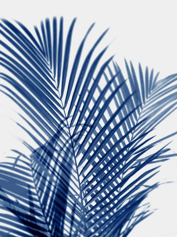 Palm Shadows Indigo I White Modern Wood Framed Art Print with Double Matting by Miller, Melonie