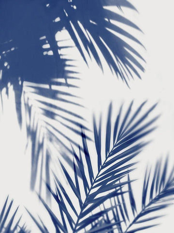 Palm Shadows Indigo II White Modern Wood Framed Art Print with Double Matting by Miller, Melonie