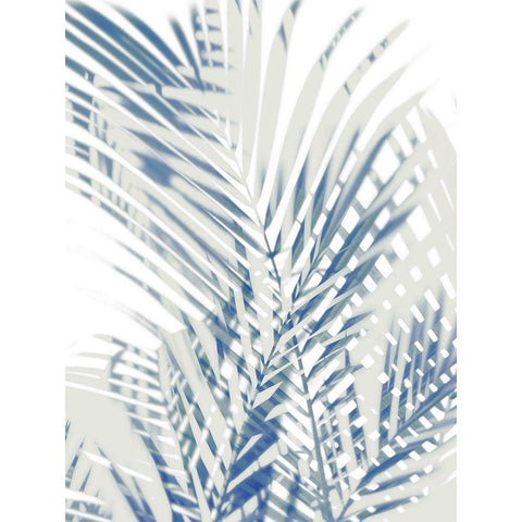 Palm Shadows  I White Modern Wood Framed Art Print by Miller, Melonie