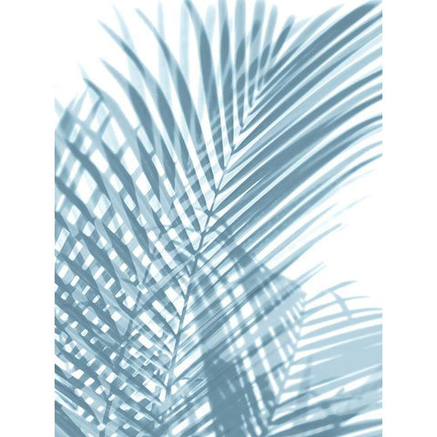 Palm Shadows Aqua I Black Modern Wood Framed Art Print with Double Matting by Miller, Melonie