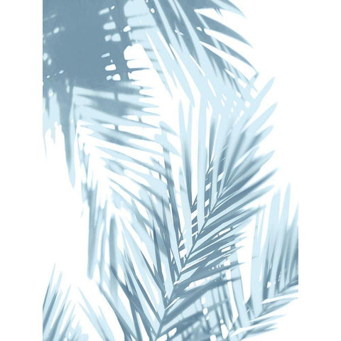 Palm Shadows Aqua II White Modern Wood Framed Art Print by Miller, Melonie