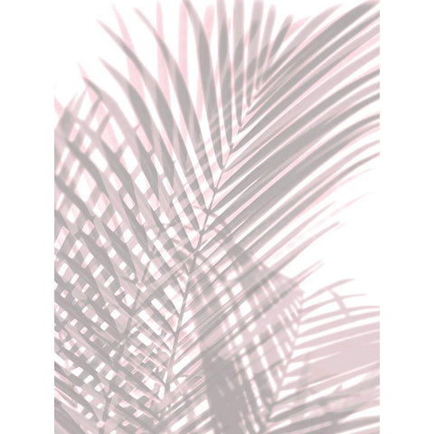 Palm Shadows Blush II Black Modern Wood Framed Art Print with Double Matting by Miller, Melonie