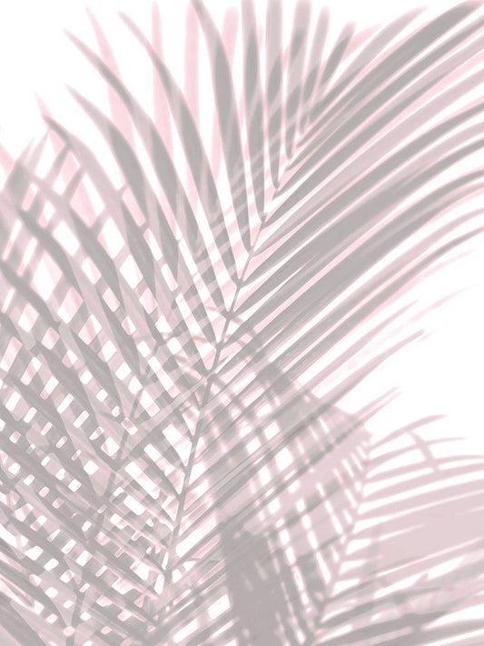Image Only