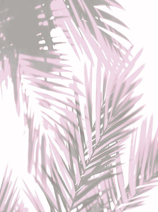 Image Only