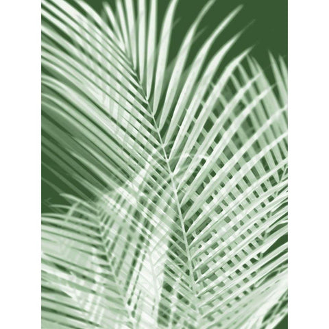 Palm Shadows Green I Black Modern Wood Framed Art Print by Miller, Melonie