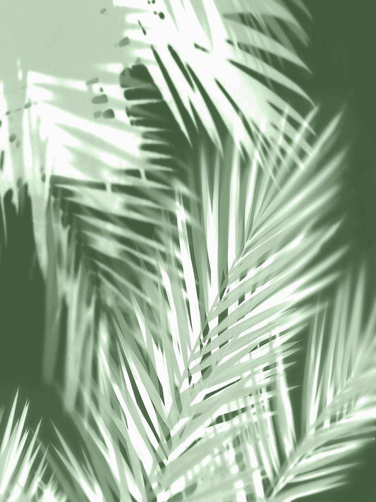 Image Only