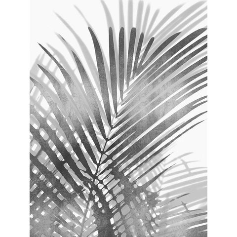 Palm Shadows I White Modern Wood Framed Art Print by Miller, Melonie