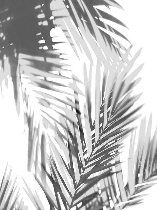 Image Only