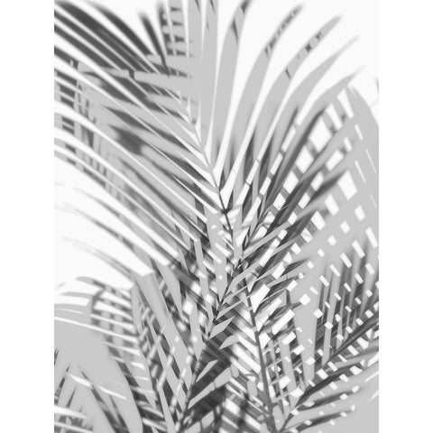 Palm Shadows III White Modern Wood Framed Art Print by Miller, Melonie