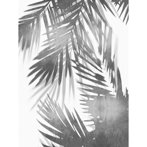 Palm Shadows IV White Modern Wood Framed Art Print by Miller, Melonie