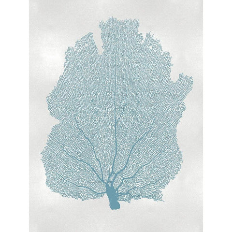 Sea Fan Aqua I Black Modern Wood Framed Art Print with Double Matting by Miller, Melonie